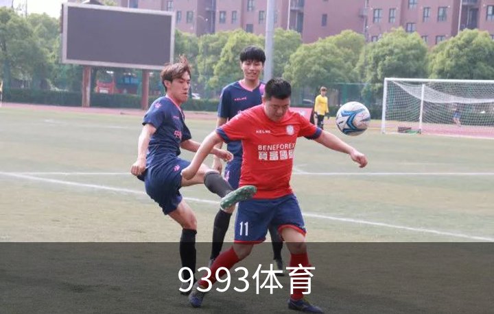 关于9393体育